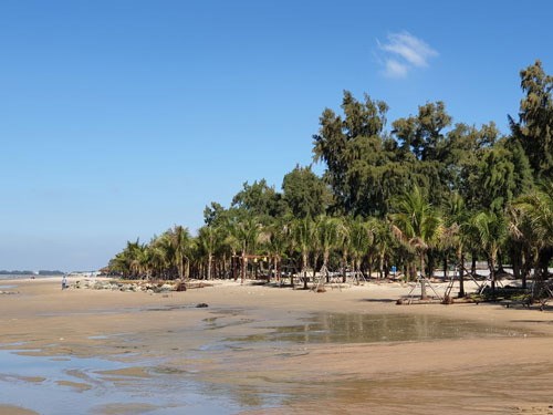 Công ty TNHH Du lịch khách sạn Phúc Đạt (Bà Rịa - Vũng Tàu): Lấy cớ tạo cảnh quan để lấn đất - Anh 1