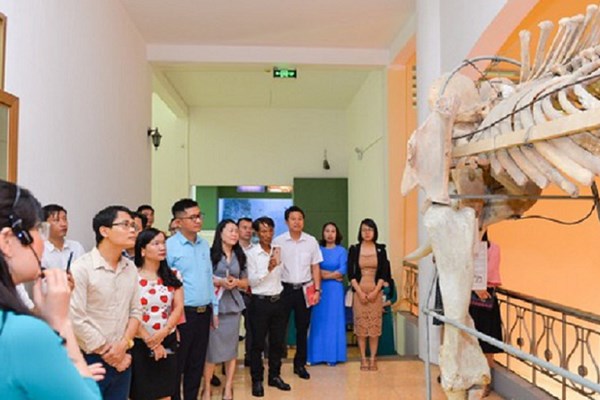 Để Bảo tàng Nghệ An trở thành điểm đến văn hóa hấp dẫn - Anh 1