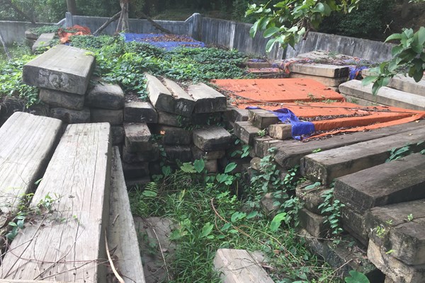 Đừng để gỗ quý hiếm biến thành gỗ mục - Anh 1