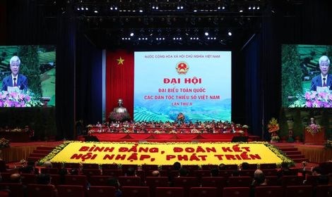 Biểu dương 40 tập thể, 50 cá nhân đại biểu DTTS có thành tích xuất sắc - Anh 2