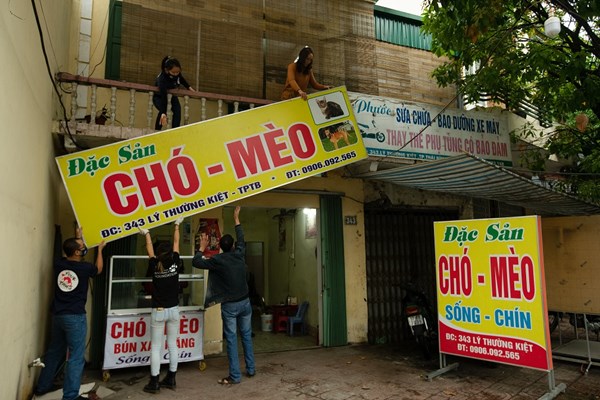 Hành trình “được sống” của những chú chó, mèo sắp bị giết, mổ - Anh 2