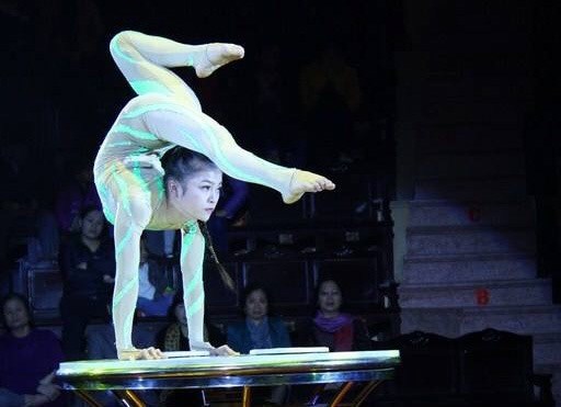 Thủ tướng trả lời chất vấn về thang bảng lương, tuổi nghỉ hưu nghệ sĩ - Anh 1