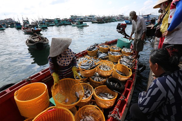 Phú Quốc và “quỹ đạo định mệnh” - Anh 6