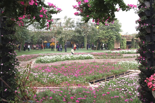 “Đánh thức người đẹp” Tây Hồ - Anh 3