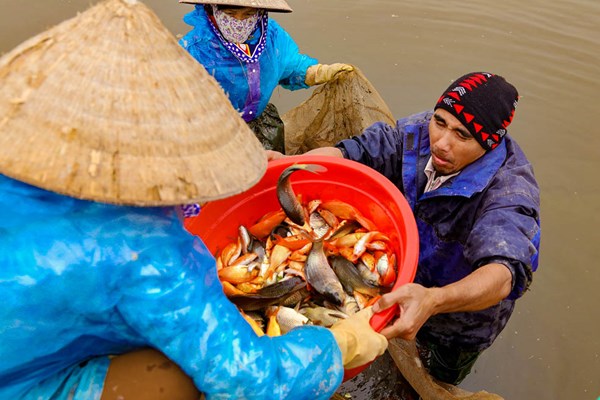 Thuỷ Trầm mùa chép đỏ - Anh 4