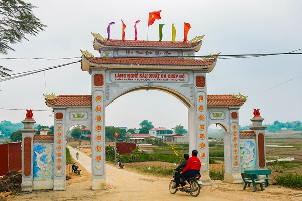 Thuỷ Trầm mùa chép đỏ - Anh 2