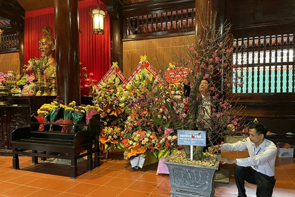 Những “cây đào tâm nguyện” từ Hà Nội - Anh 1