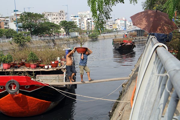 Rực rỡ sắc xuân ở chợ hoa “Trên bến dưới thuyền” - Anh 4