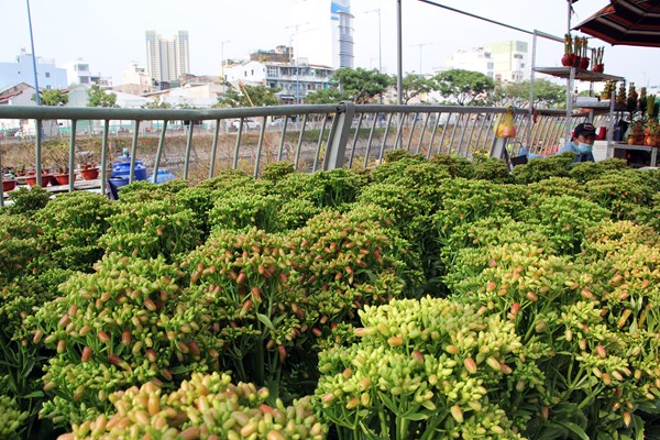 Rực rỡ sắc xuân ở chợ hoa “Trên bến dưới thuyền” - Anh 7