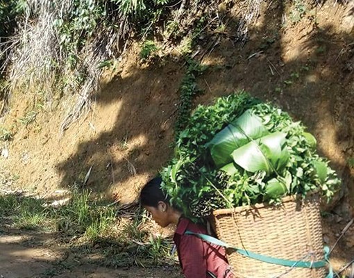 Từ bản làng em nhìn ra thế giới - Anh 4