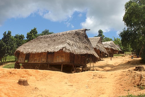 Những bài “ Sim” tình ca - Anh 2