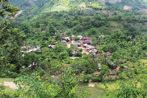 Những bài “ Sim” tình ca - Anh 1