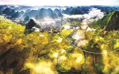 Ôi còn đâu đây sắc chàm pha màu gió - Anh 1