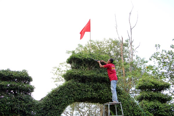 Độc đáo cổng tam quan bằng cây xanh ở huyện An Minh, Kiên Giang - Anh 2