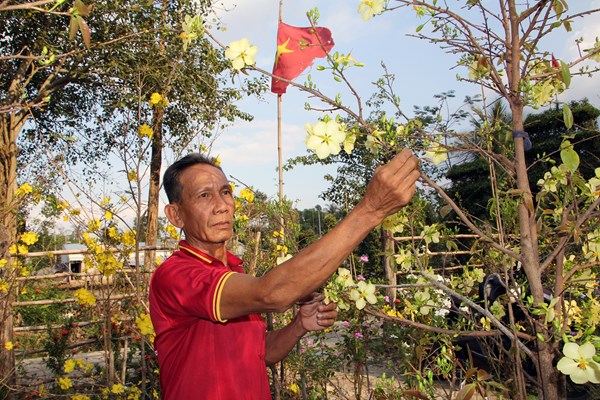 Độc đáo cổng tam quan bằng cây xanh ở huyện An Minh, Kiên Giang - Anh 11
