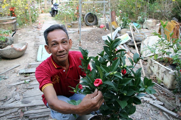 Độc đáo cổng tam quan bằng cây xanh ở huyện An Minh, Kiên Giang - Anh 9