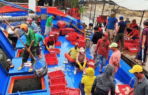 Ngư dân trở về với đầy ắp “lộc biển” đầu năm - Anh 1