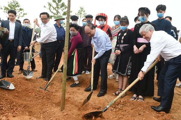 “Chúng ta trồng cây xanh để thúc đẩy quốc kế dân sinh” - Anh 1