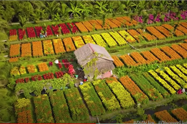 Những xu hướng mới thời đại dịch - Anh 1