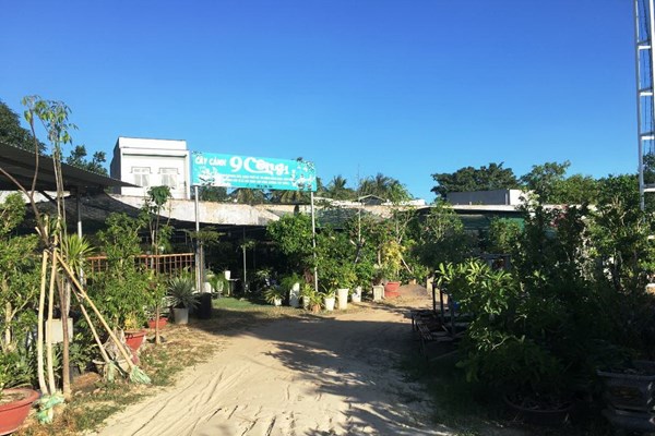 SVĐ Cam Ranh (Khánh Hòa) bị 