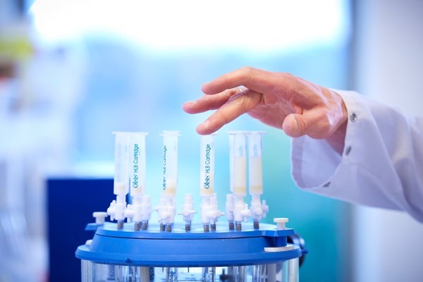 Bí quyết thành công của sữa Cô gái Hà Lan gói gọn trong 4 chữ - Anh 1