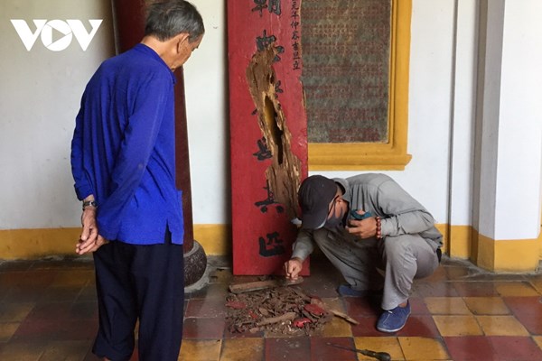 Mối mọt lại 