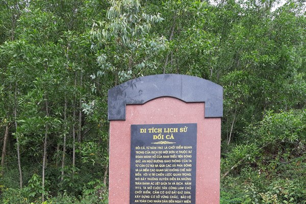 Tiếp bài “đất tặc”, “đá tặc” xâm phạm di tích lịch sử quốc gia Đồi Cả (Phù Cát, Bình Định): Chưa phân cấp quản lý nên không biết ai xử lý? - Anh 1