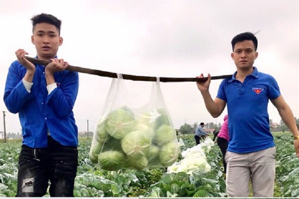 Đoàn viên thanh niên chung tay “giải cứu” nông sản - Anh 1