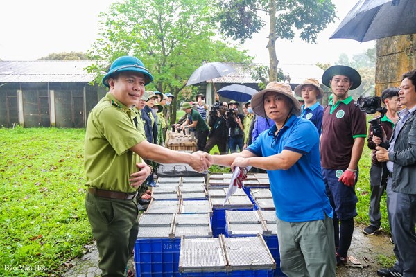 Hành trình “về nhà” của gần 100 cá thể động vật hoang dã - Anh 1