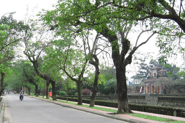 Khai thác các tuyến phố đi bộ xung quanh khu vực Đại Nội Huế - Anh 1