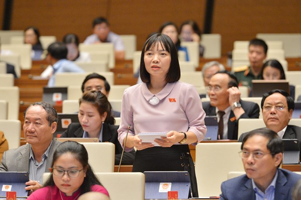 Những thành tựu to lớn của đất nước có vai trò, bản lĩnh, sức mạnh của văn hóa Việt Nam - Anh 2