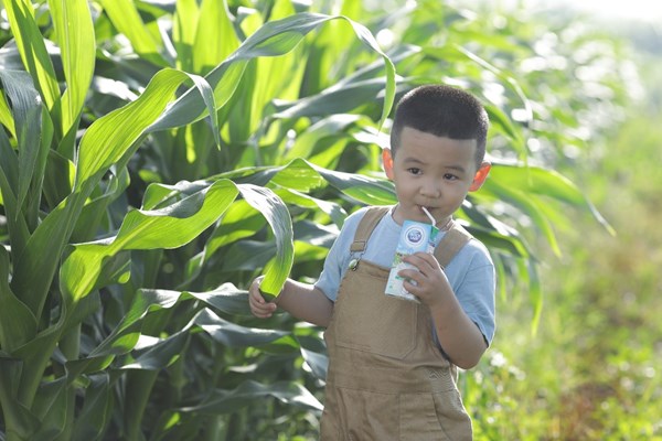 Cô gái Hà Lan  mách mẹ về lợi ích bất ngờ nhờ uống sữa tươi trong bữa sáng cho bé - Anh 2