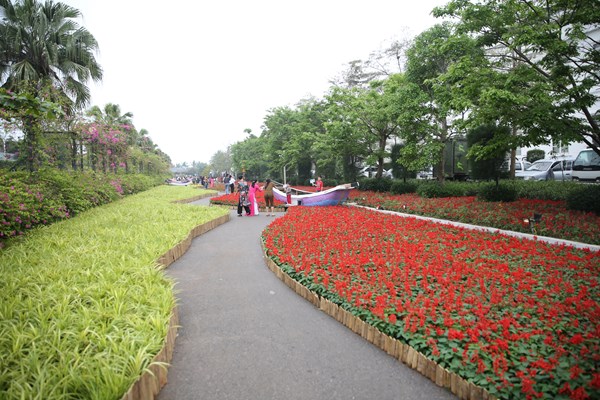Rực rỡ lễ hội hoa Sầm Sơn - Anh 2
