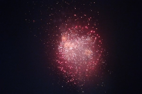 Rực rỡ lễ hội hoa Sầm Sơn - Anh 7