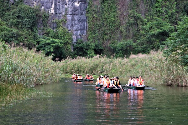 Liên kết tạo sức mạnh cộng sinh - Anh 1
