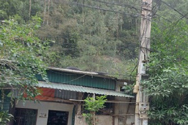 Những dự án 