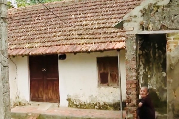 Những dự án 