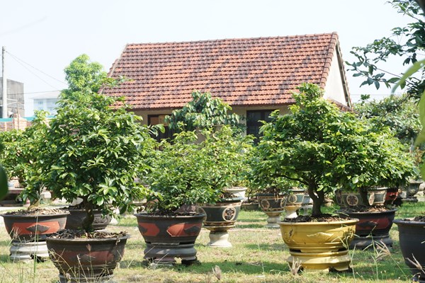 Thuê 