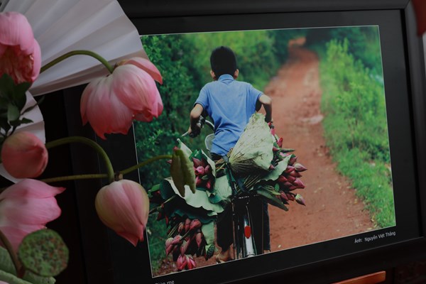 Bộ sưu tập “Sen trong đời sống văn hóa Việt” đón nhận kỷ lục quốc gia - Anh 3