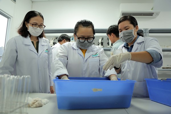 Sinh viên “sản xuất” túi giấy từ ...cây chuối - Anh 1