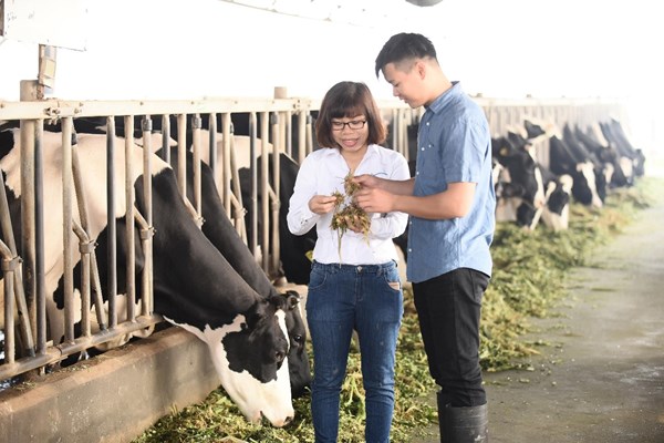 Nông dân Cô gái Hà Lan làm giàu trên mảnh đất quê hương từ chăn nuôi bền vững - Anh 3