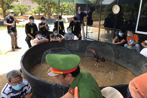 Đột kích “trường gà”, bắt quả tang 47 đối tượng đang tham gia cá cược - Anh 1