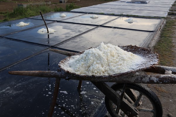 Sai phạm tại hợp tác xã nghề muối Kim Liên - Anh 2