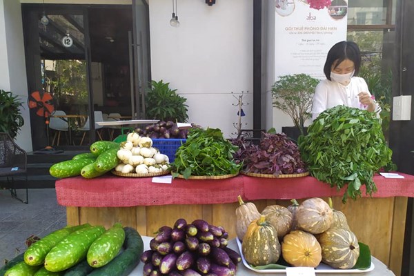 Khi khách sạn vượt khó - Anh 1