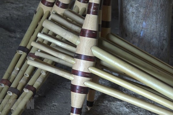 Nỗ lực bảo tồn cây khèn Mông trên cao nguyên đá Hà Giang - Anh 1