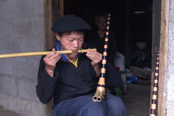 Nỗ lực bảo tồn cây khèn Mông trên cao nguyên đá Hà Giang - Anh 3