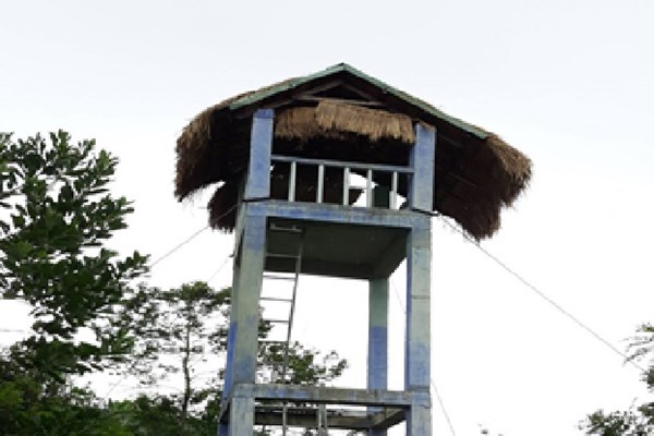 Phòng, chống cháy rừng khu di sản Mỹ Sơn - Anh 1