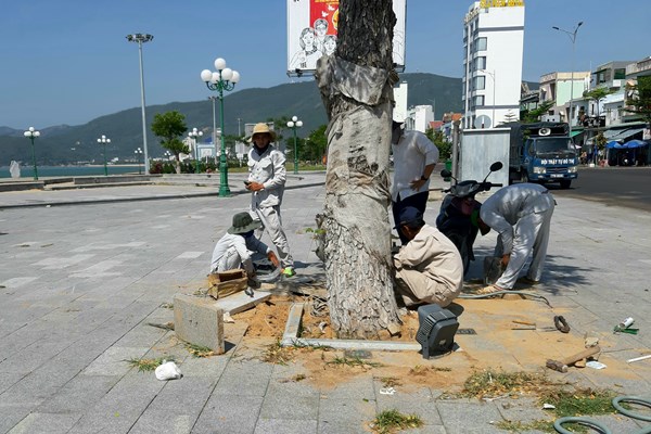 Công viên biển Xuân Diệu mới đưa vào sử dụng đã hư hỏng - Anh 1