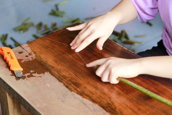 Những tấm lụa thơm nức hồn quê - Anh 2