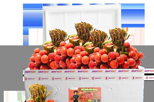 Cùng Vietjet chung tay xuất khẩu và tiêu thụ vải thiều Bắc Giang - Anh 1
